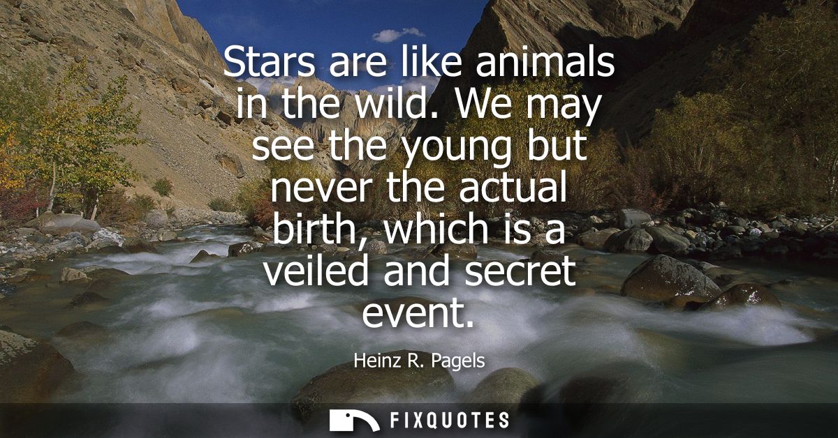 Stars are like animals in the wild. We may see the young but never the actual birth, which is a veiled and secret event