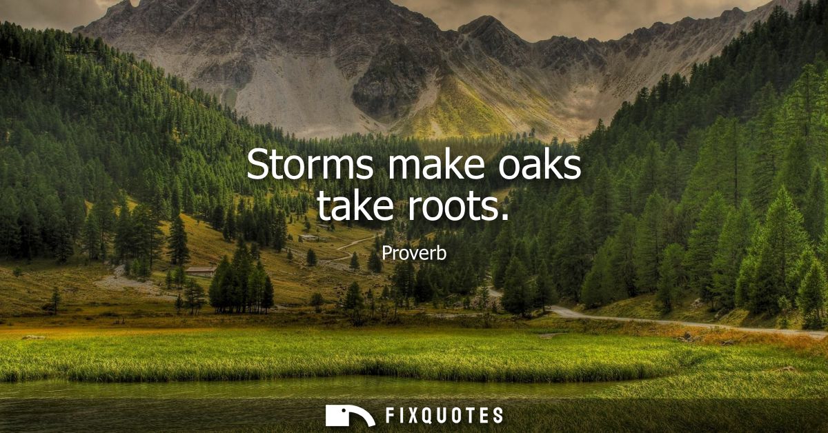 Storms make oaks take roots