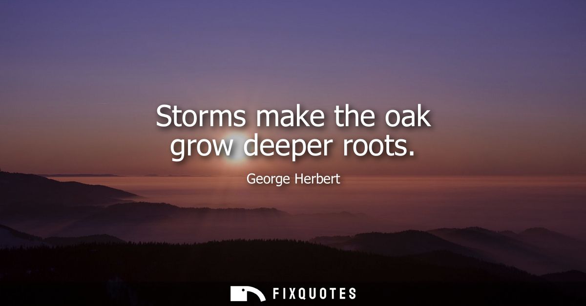 Storms make the oak grow deeper roots