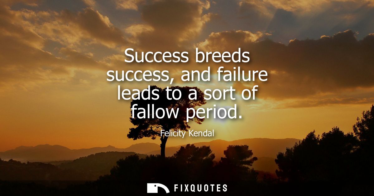 Success breeds success, and failure leads to a sort of fallow period