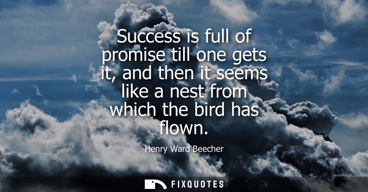 Success is full of promise till one gets it, and then it seems like a nest from which the bird has flown - Henry Ward Be
