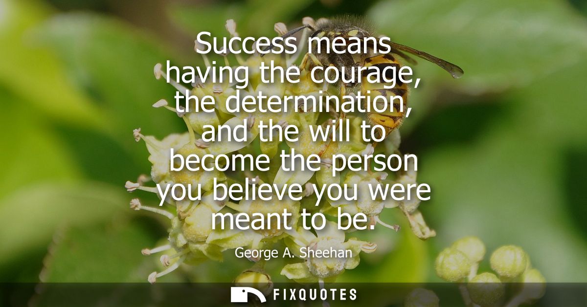 Success means having the courage, the determination, and the will to become the person you believe you were meant to be