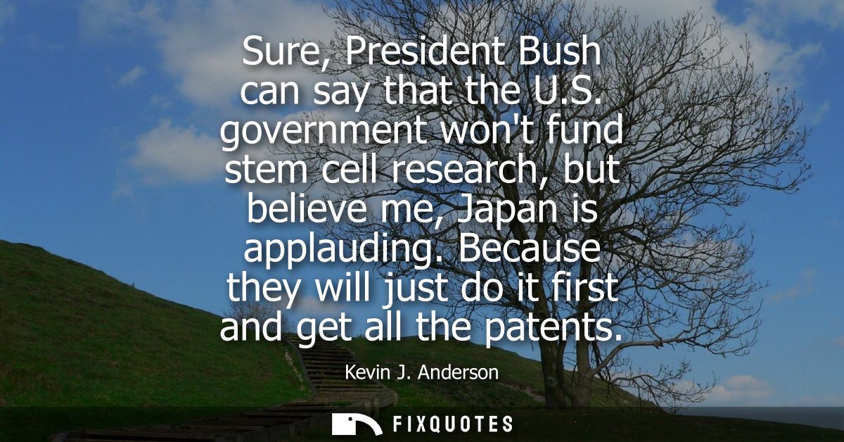 Sure, President Bush can say that the U.S. government wont fund stem cell research, but believe me, Japan is applauding.