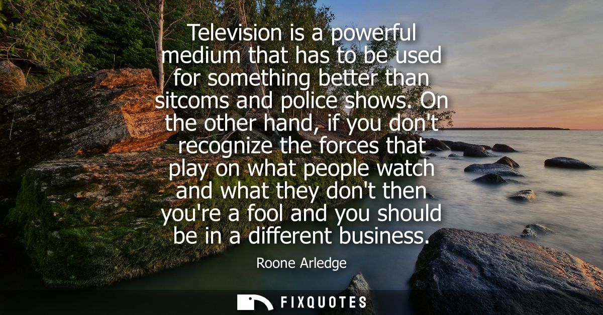 Television is a powerful medium that has to be used for something better than sitcoms and police shows.