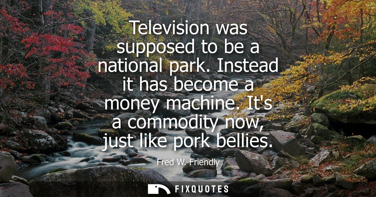 Television was supposed to be a national park. Instead it has become a money machine. Its a commodity now, just like por