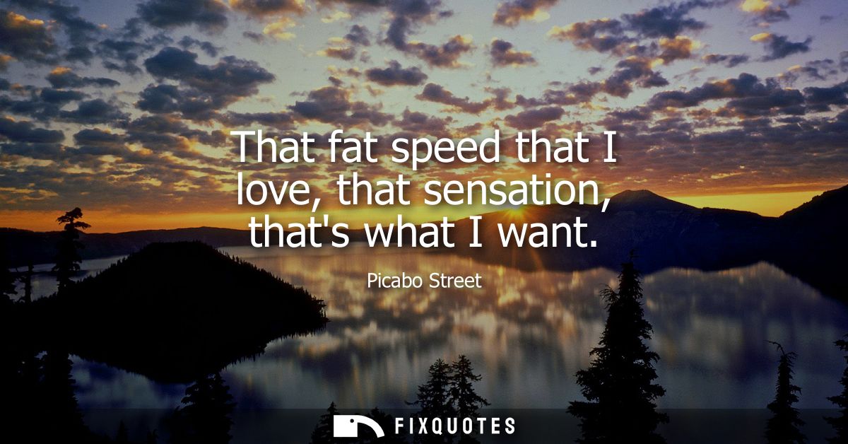 That fat speed that I love, that sensation, thats what I want - Picabo Street
