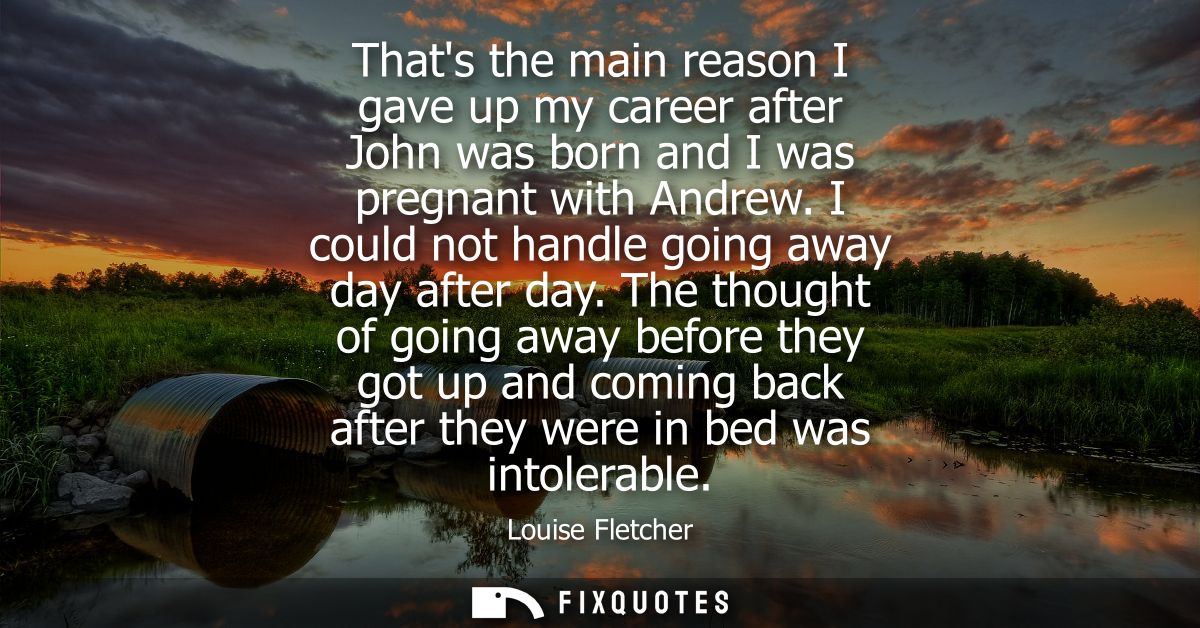 Thats the main reason I gave up my career after John was born and I was pregnant with Andrew. I could not handle going a