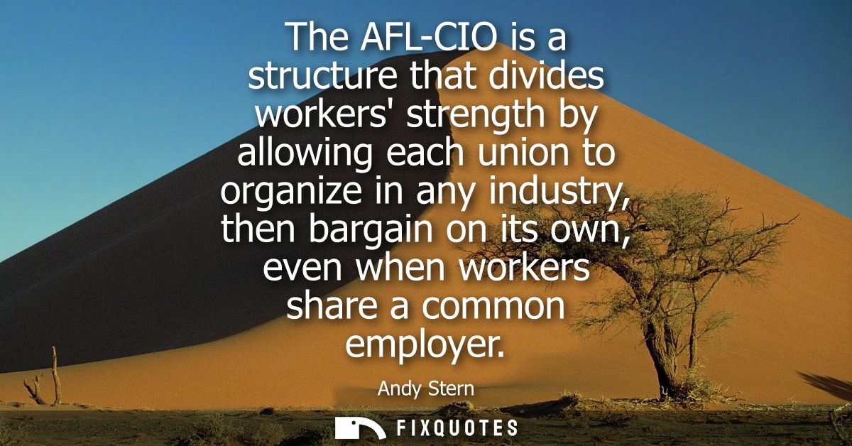 The AFL-CIO is a structure that divides workers strength by allowing each union to organize in any industry, then bargai