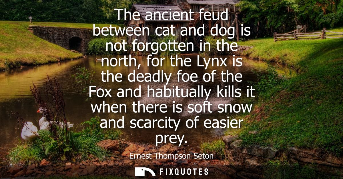 The ancient feud between cat and dog is not forgotten in the north, for the Lynx is the deadly foe of the Fox and habitu