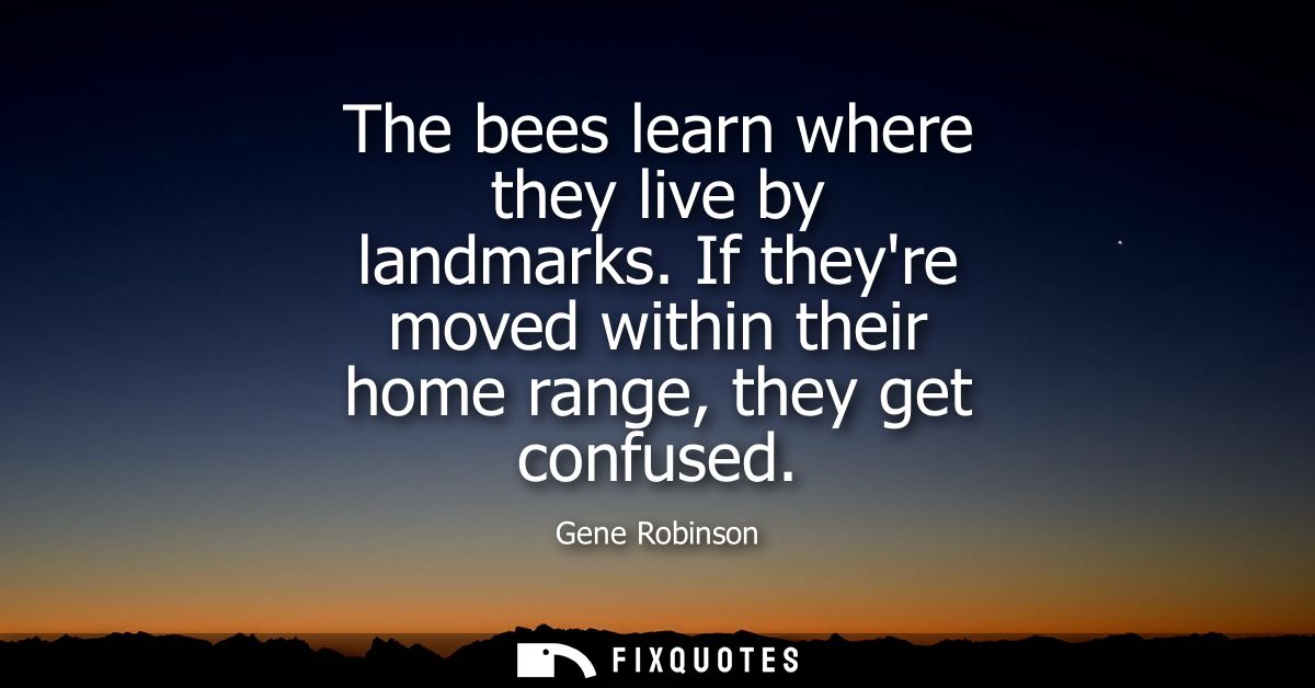 The bees learn where they live by landmarks. If theyre moved within their home range, they get confused
