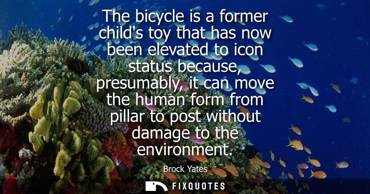 The bicycle is a former childs toy that has now been elevated to icon status because, presumably, it can move the human 