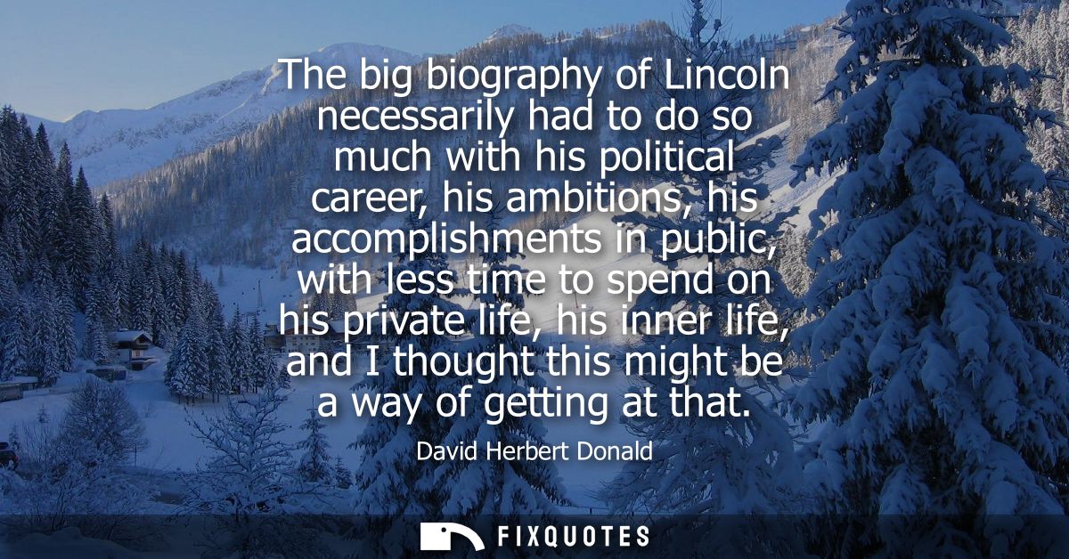 The big biography of Lincoln necessarily had to do so much with his political career, his ambitions, his accomplishments