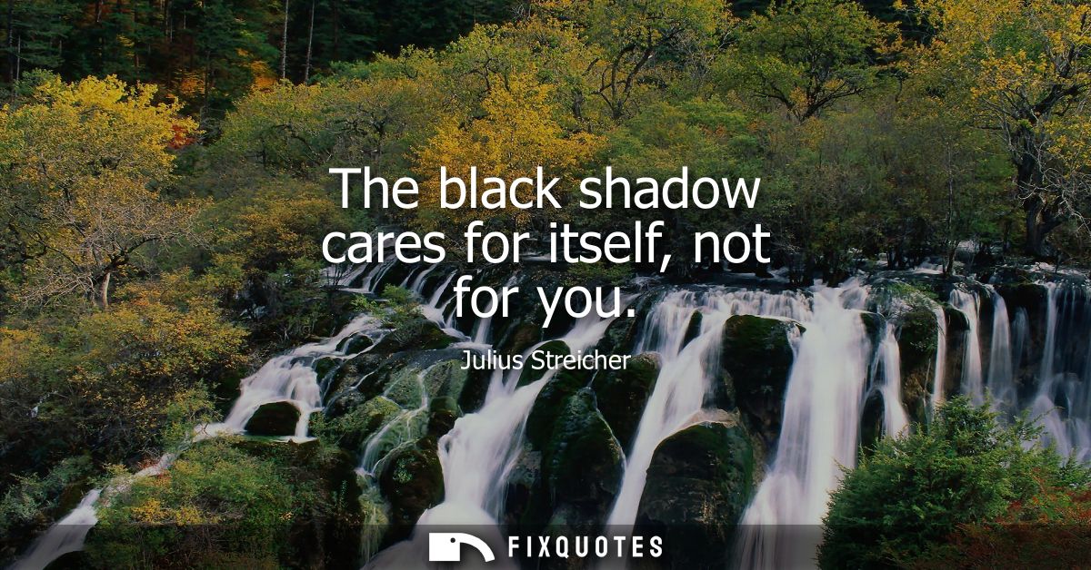 The black shadow cares for itself, not for you