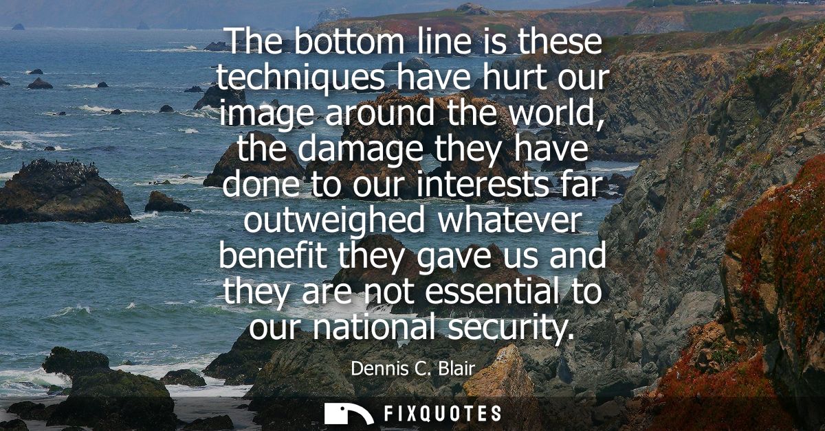 The bottom line is these techniques have hurt our image around the world, the damage they have done to our interests far
