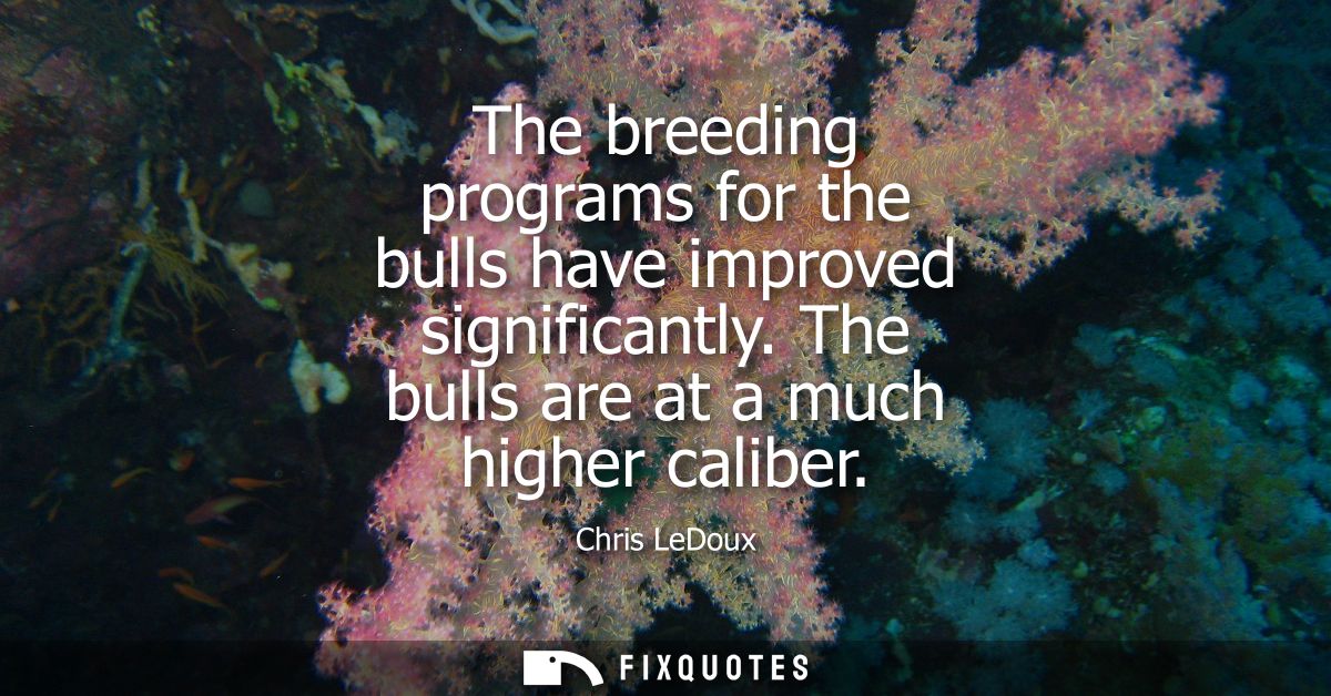 The breeding programs for the bulls have improved significantly. The bulls are at a much higher caliber