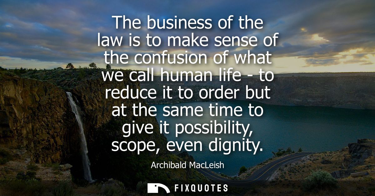 The business of the law is to make sense of the confusion of what we call human life - to reduce it to order but at the 