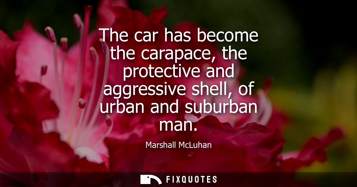 The car has become the carapace, the protective and aggressive shell, of urban and suburban man