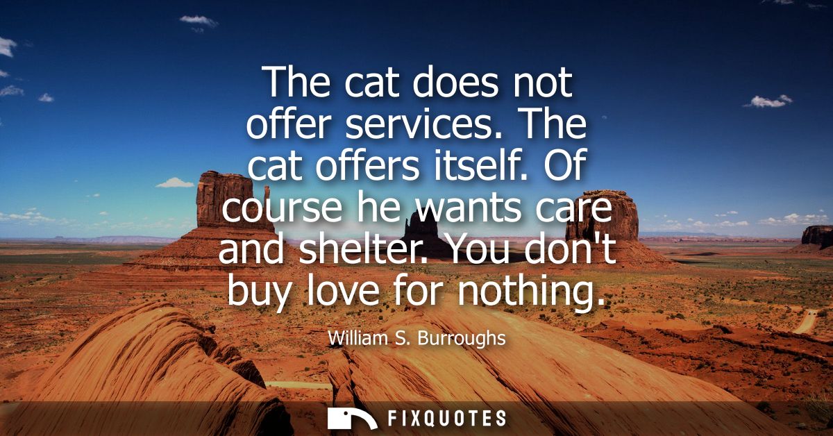 The cat does not offer services. The cat offers itself. Of course he wants care and shelter. You dont buy love for nothi