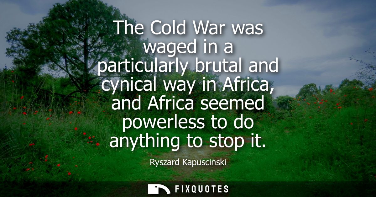 The Cold War was waged in a particularly brutal and cynical way in Africa, and Africa seemed powerless to do anything to