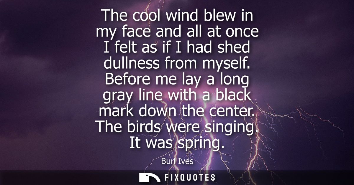 The cool wind blew in my face and all at once I felt as if I had shed dullness from myself. Before me lay a long gray li