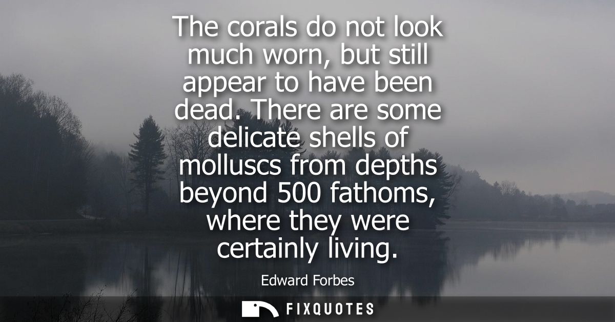 The corals do not look much worn, but still appear to have been dead. There are some delicate shells of molluscs from de