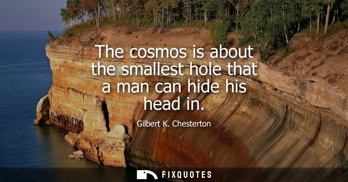 The cosmos is about the smallest hole that a man can hide his head in