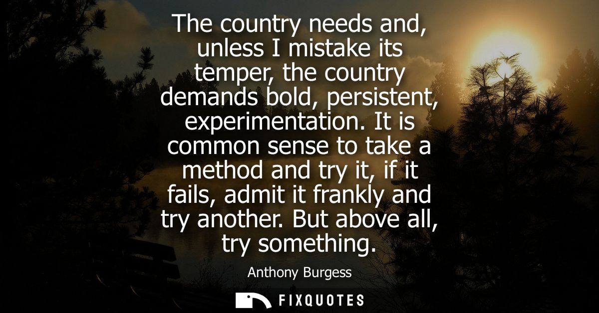 The country needs and, unless I mistake its temper, the country demands bold, persistent, experimentation.