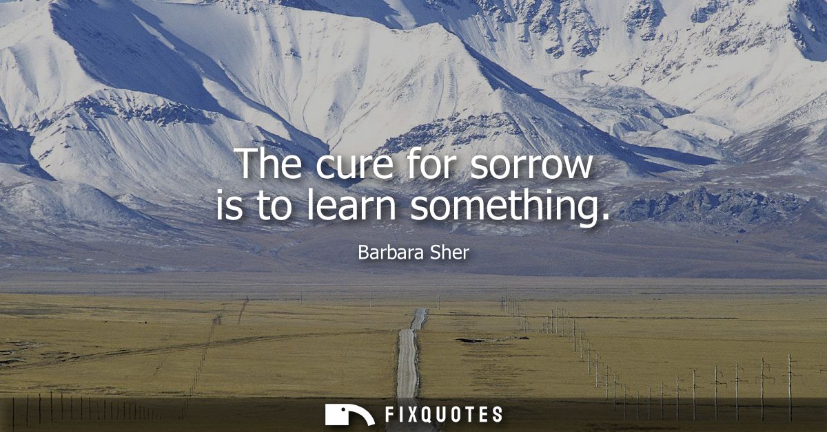 The cure for sorrow is to learn something