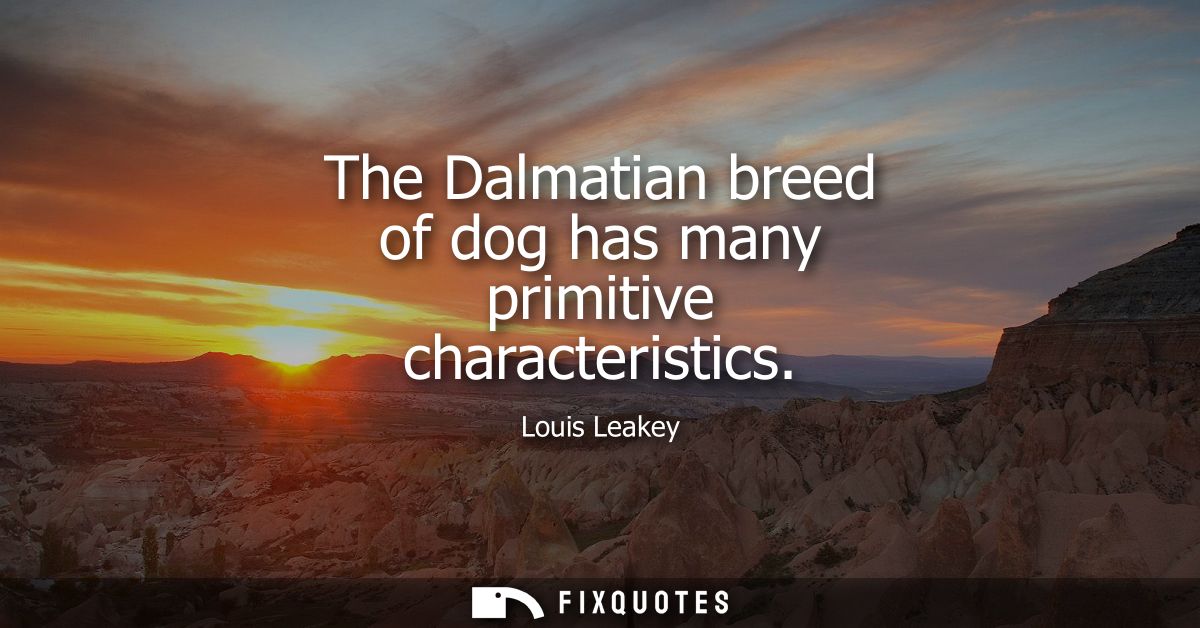 The Dalmatian breed of dog has many primitive characteristics