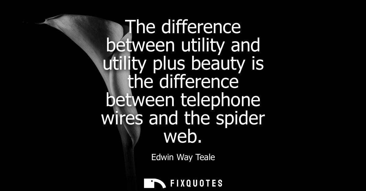 The difference between utility and utility plus beauty is the difference between telephone wires and the spider web
