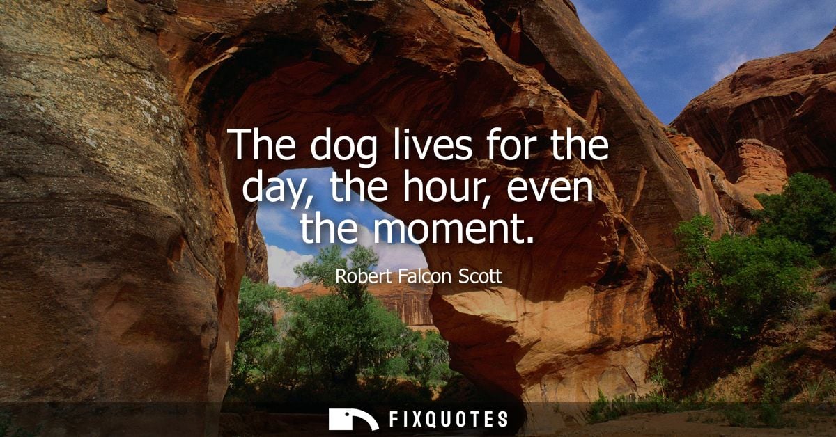 The dog lives for the day, the hour, even the moment