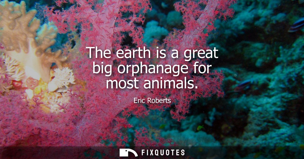 The earth is a great big orphanage for most animals
