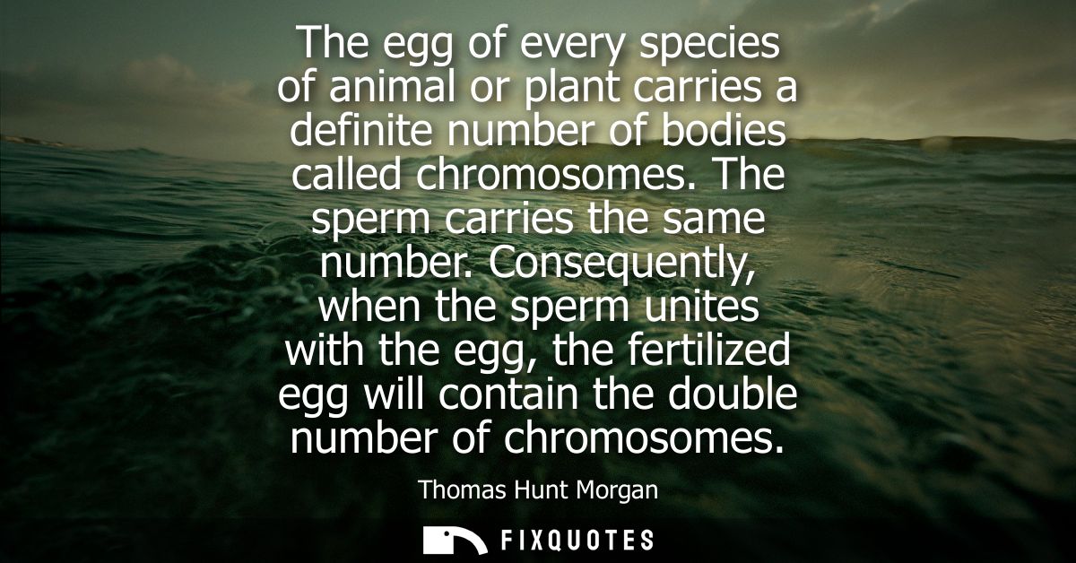 The egg of every species of animal or plant carries a definite number of bodies called chromosomes. The sperm carries th