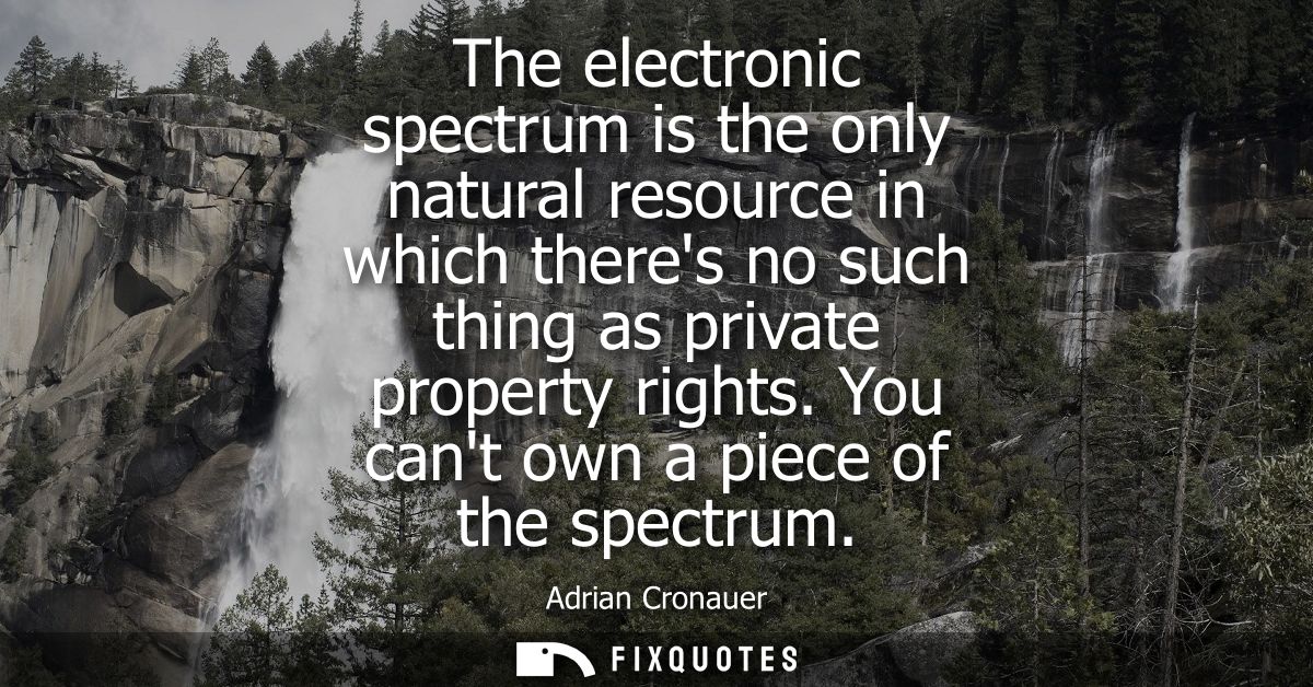 The electronic spectrum is the only natural resource in which theres no such thing as private property rights. You cant 