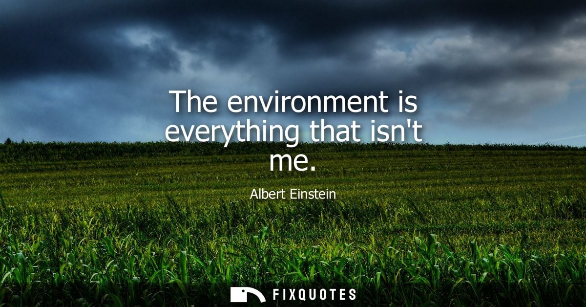 The environment is everything that isnt me