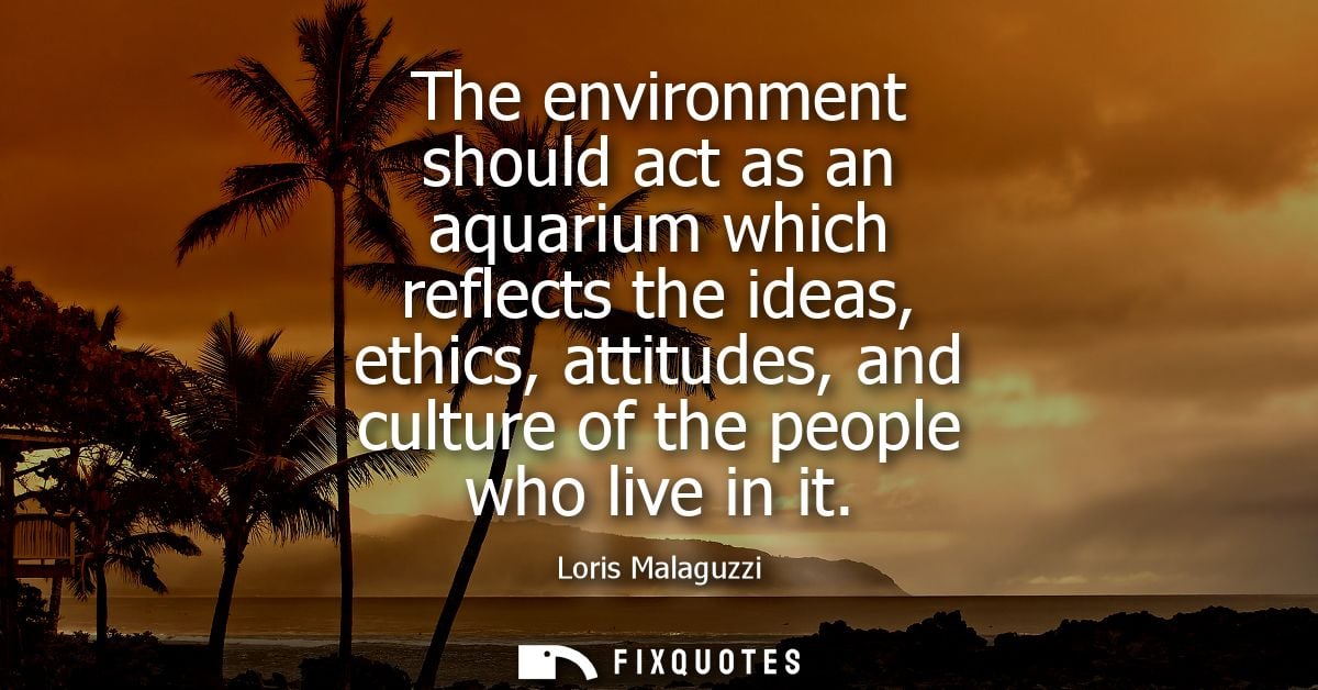 The environment should act as an aquarium which reflects the ideas, ethics, attitudes, and culture of the people who liv