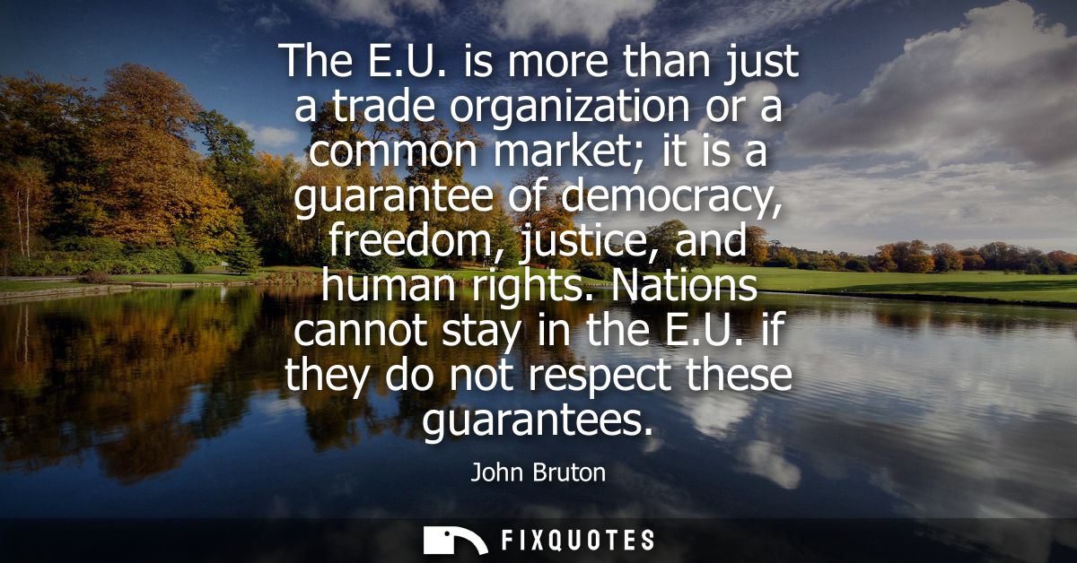 The E.U. is more than just a trade organization or a common market it is a guarantee of democracy, freedom, justice, and