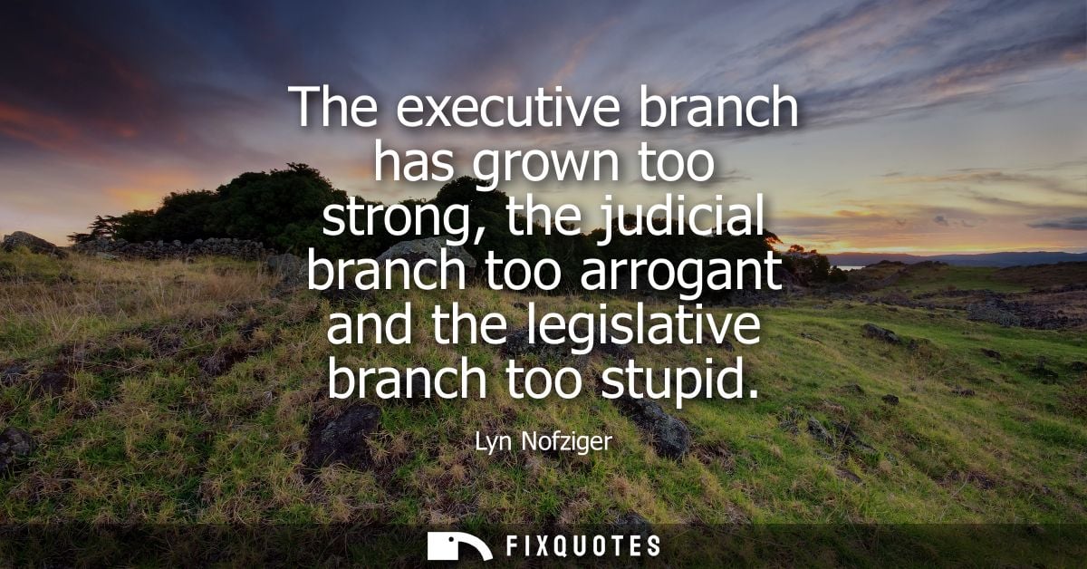 The executive branch has grown too strong, the judicial branch too arrogant and the legislative branch too stupid