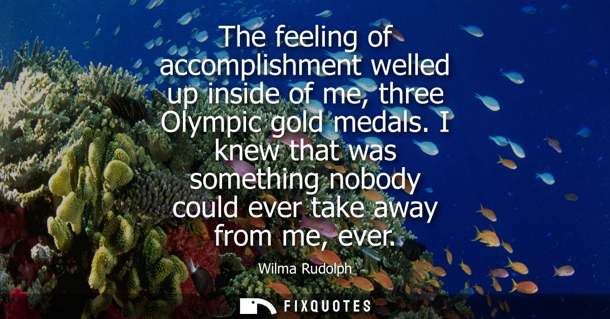 The feeling of accomplishment welled up inside of me, three Olympic gold medals. I knew that was something nobody could 