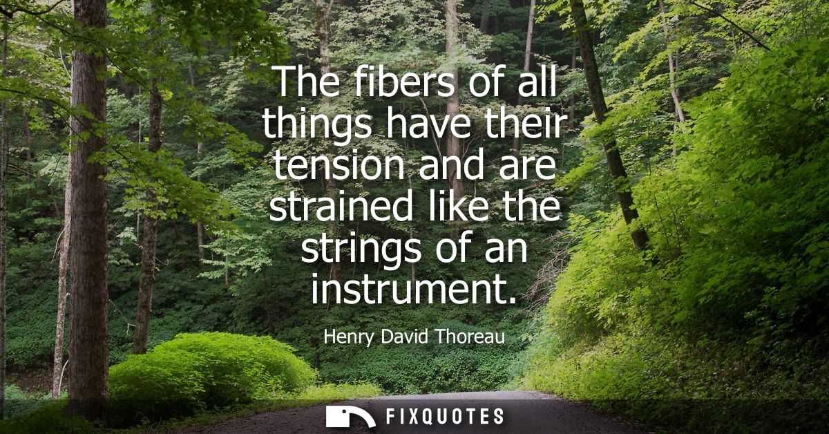 The fibers of all things have their tension and are strained like the strings of an instrument