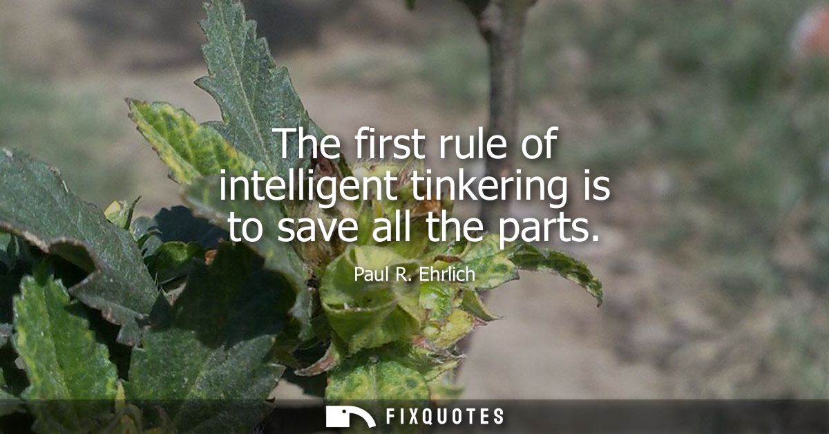 The first rule of intelligent tinkering is to save all the parts