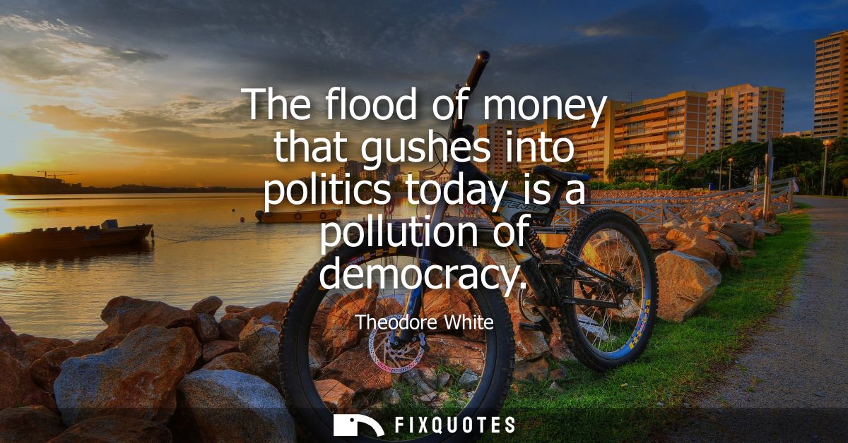 The flood of money that gushes into politics today is a pollution of democracy