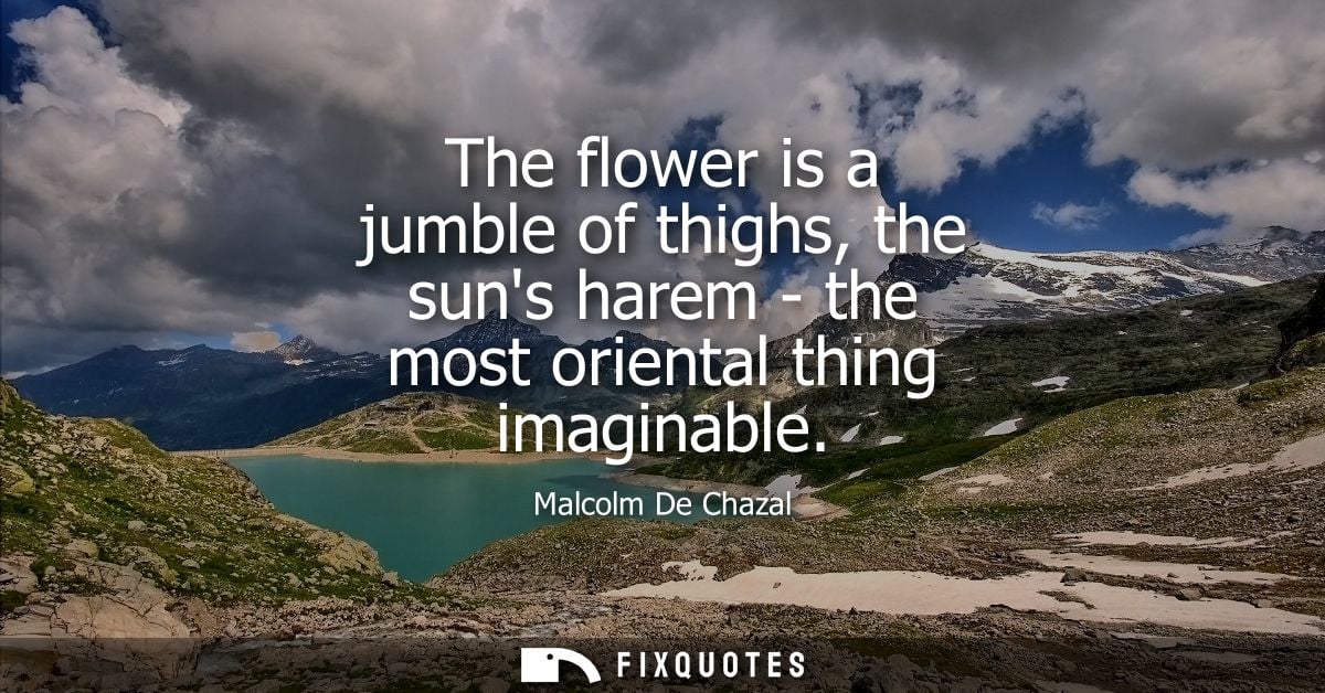 The flower is a jumble of thighs, the suns harem - the most oriental thing imaginable