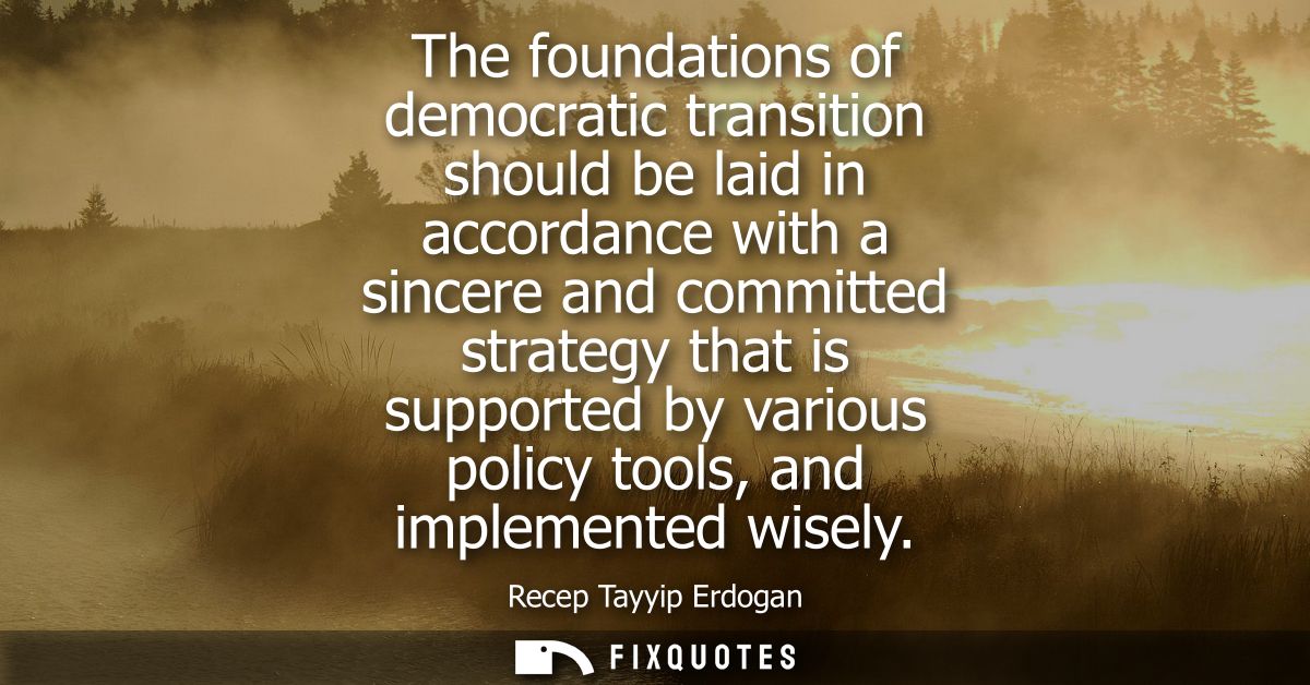 The foundations of democratic transition should be laid in accordance with a sincere and committed strategy that is supp