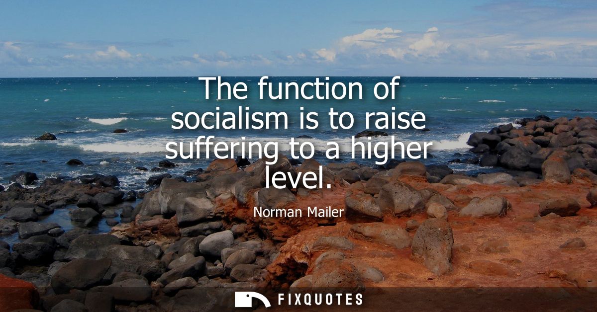 The function of socialism is to raise suffering to a higher level