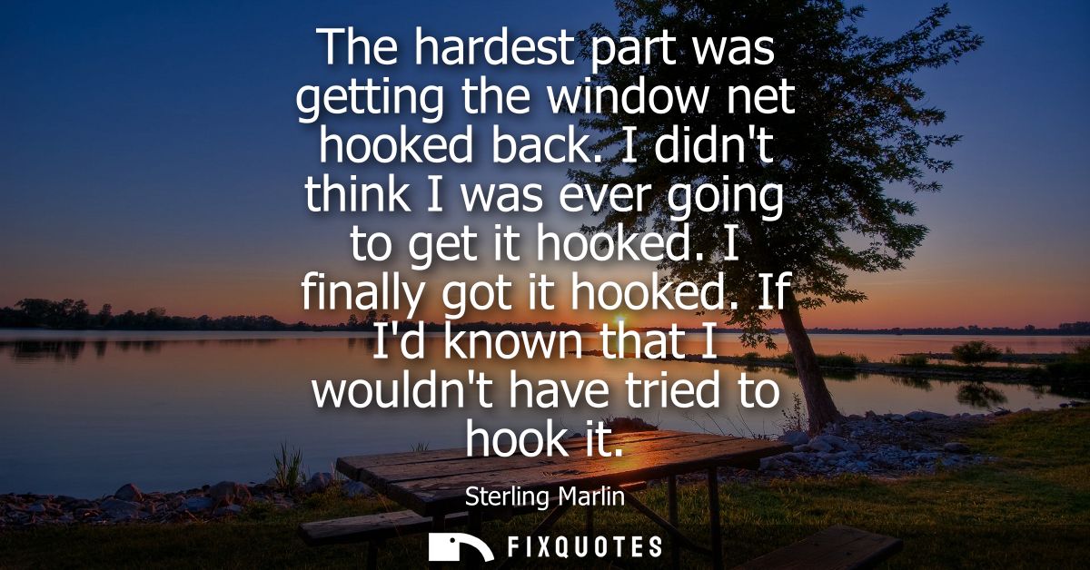 The hardest part was getting the window net hooked back. I didnt think I was ever going to get it hooked. I finally got 