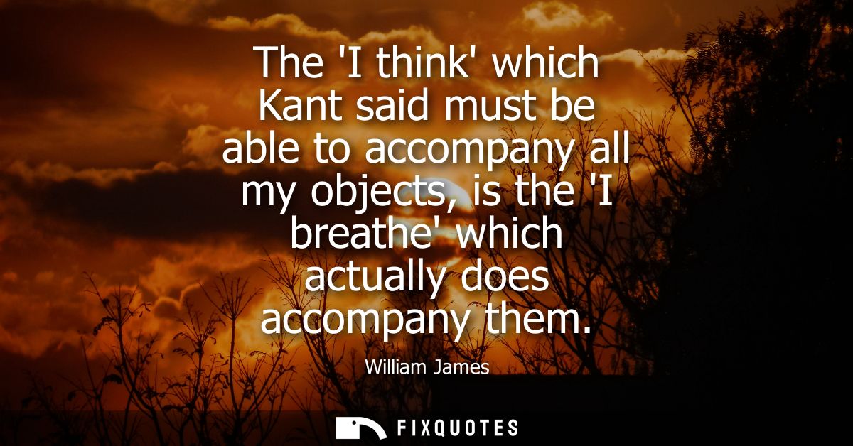 The I think which Kant said must be able to accompany all my objects, is the I breathe which actually does accompany the