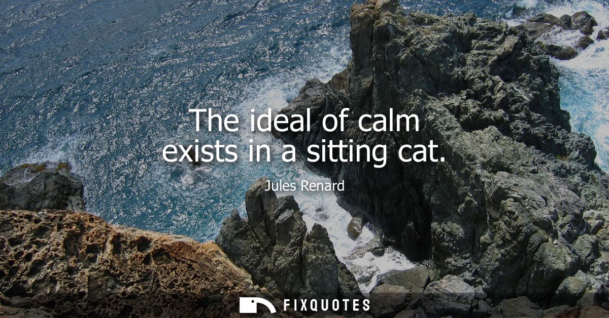 The ideal of calm exists in a sitting cat