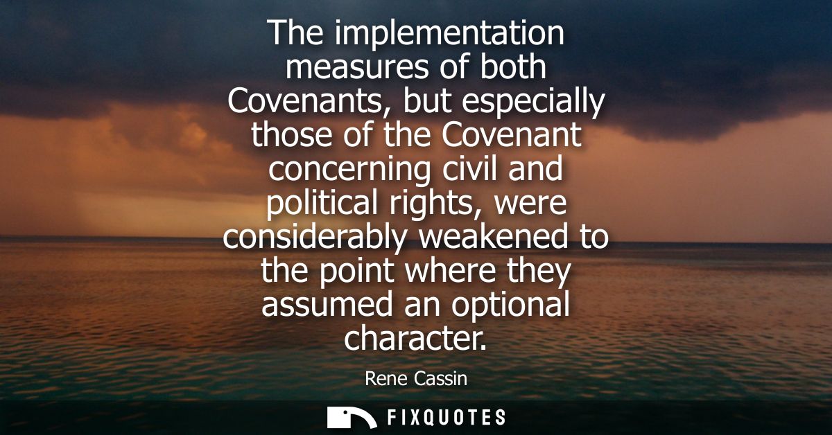 The implementation measures of both Covenants, but especially those of the Covenant concerning civil and political right