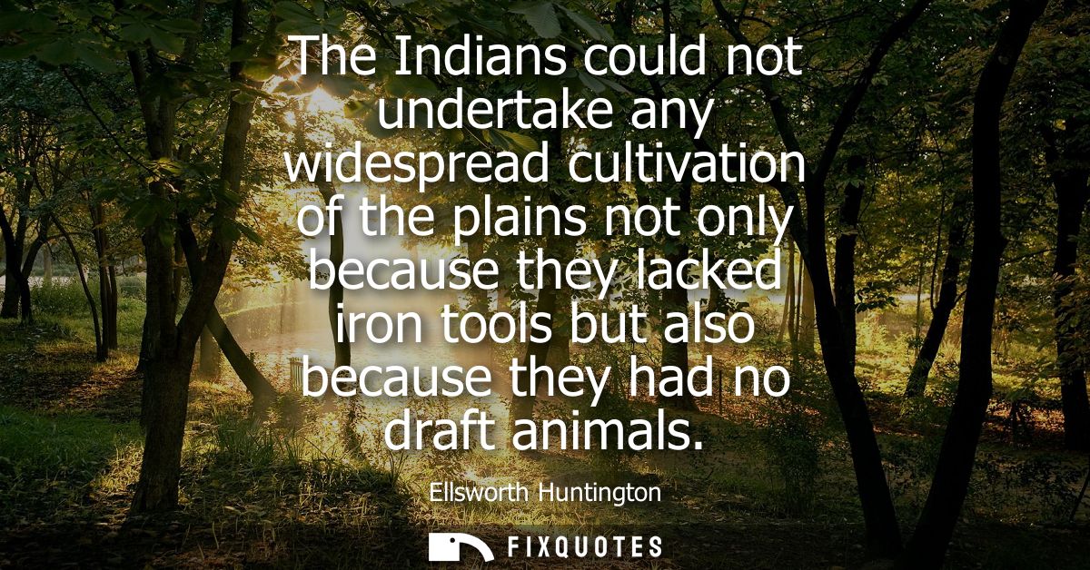 The Indians could not undertake any widespread cultivation of the plains not only because they lacked iron tools but als